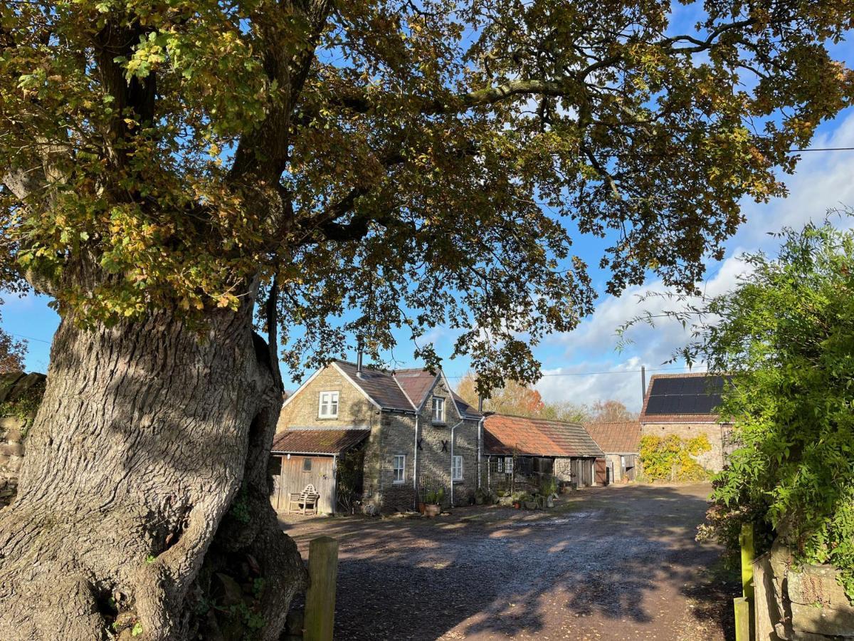 アースクThe Bothy At Oak Farmアパートメント エクステリア 写真