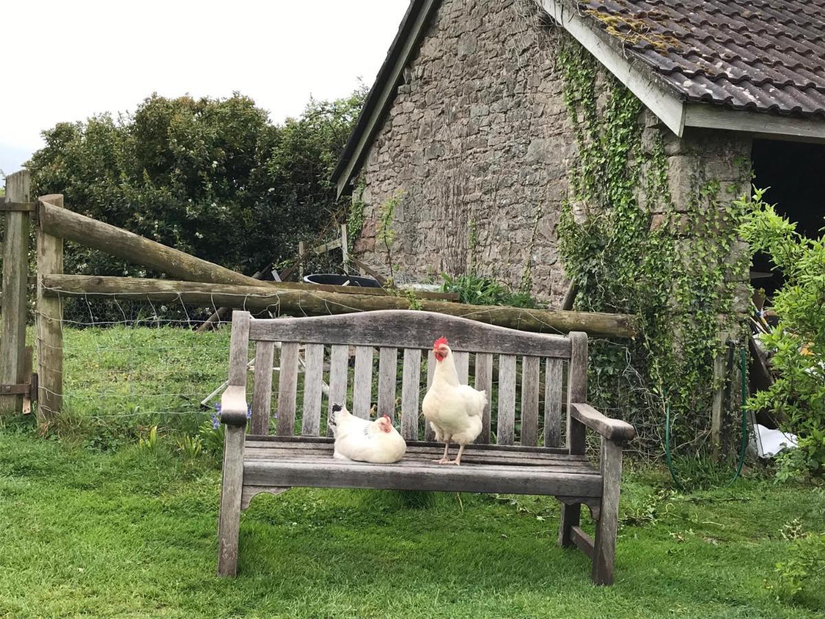 アースクThe Bothy At Oak Farmアパートメント エクステリア 写真