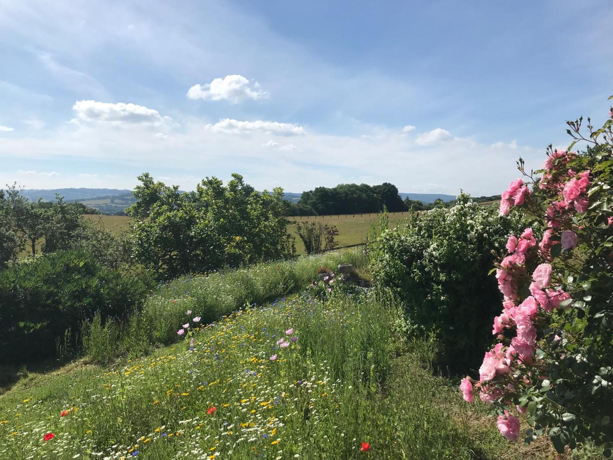 アースクThe Bothy At Oak Farmアパートメント エクステリア 写真